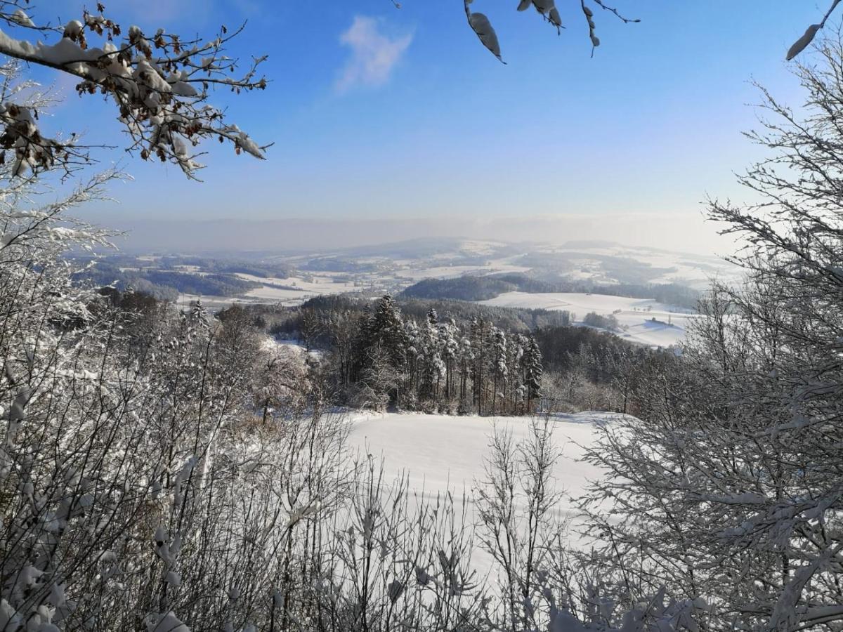 Loft Ueber Dem Bodensee Heiligenborn Dış mekan fotoğraf