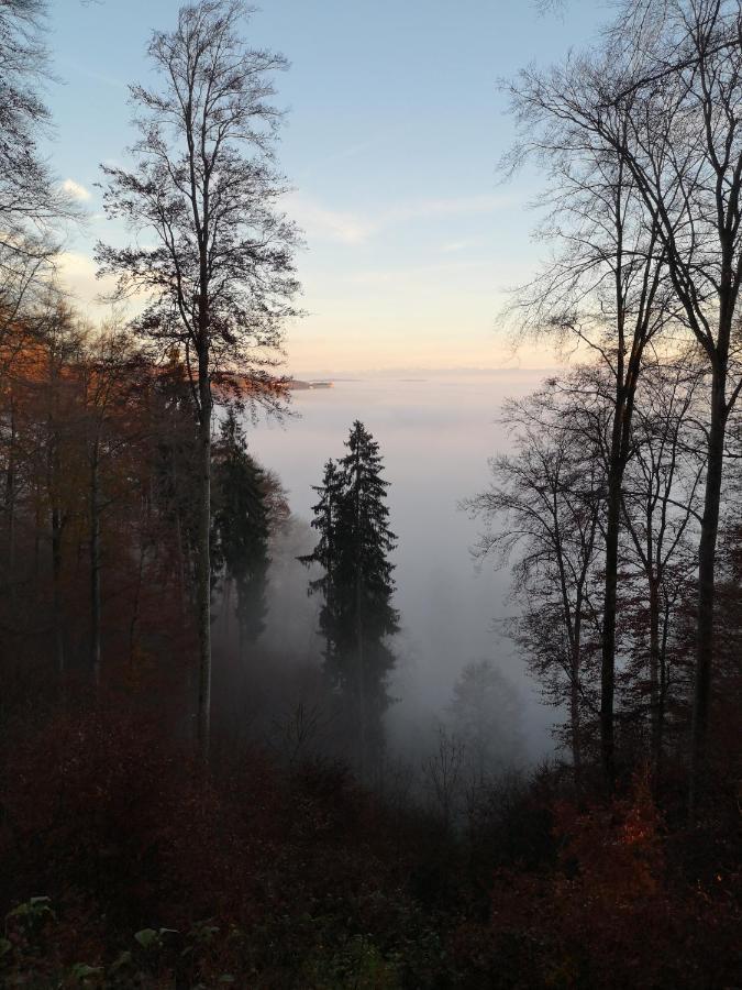 Loft Ueber Dem Bodensee Heiligenborn Dış mekan fotoğraf